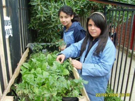 Niños ¡Al Huerto!