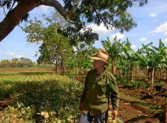 X Congreso: Este fin de semana campesinos cubanos debatirán sobre sus desafíos