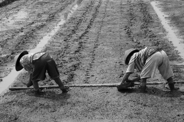 Agroecología, Soberanía Alimentaria y Territorial