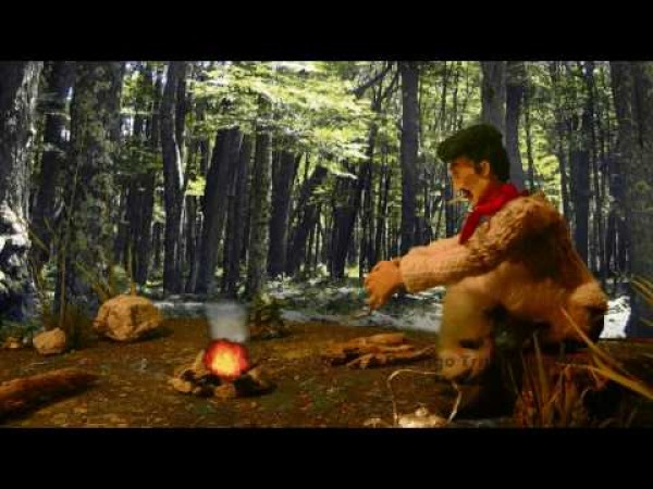 «Sangre y Madera»: Cortometraje animado por la defensa de Aysén