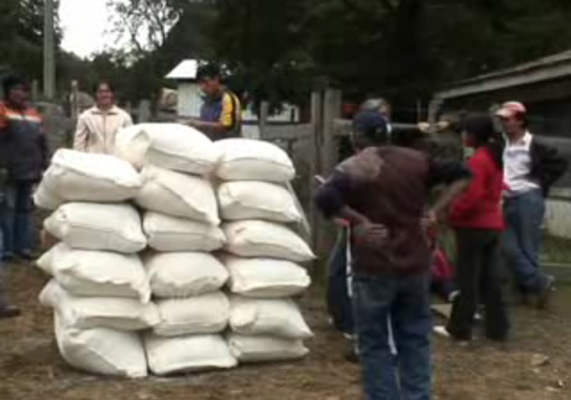 Proyecto Ngen de Curarrehue: amistad vasco-mapuche rinde sus frutos