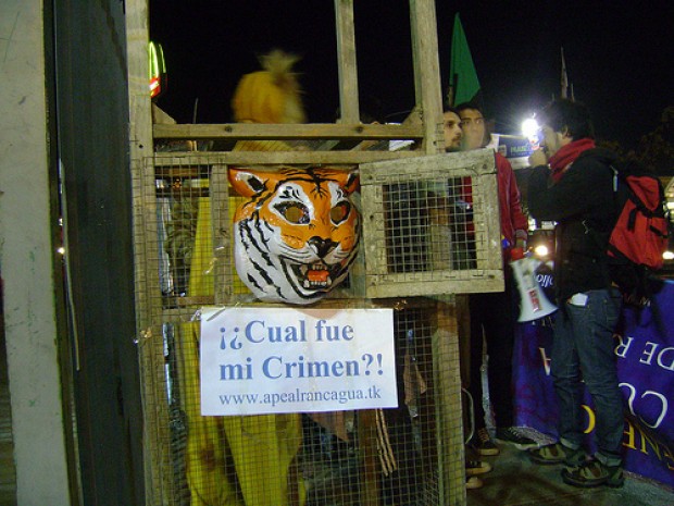 Activistas por la libertad animal fueron agredidos por empleados del circo Los Tachuelas