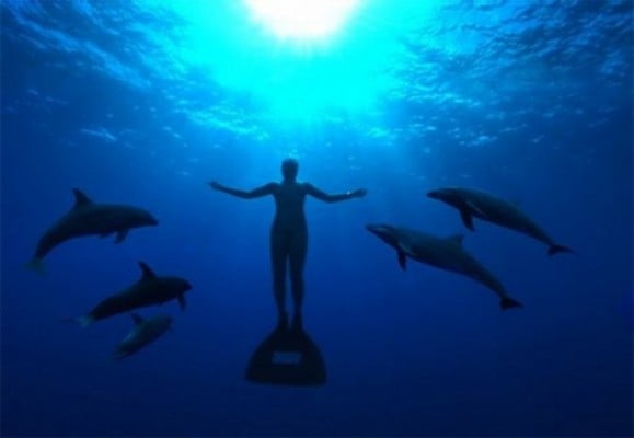 Obstaculizan exhibición de documental “The Cove” en Japón