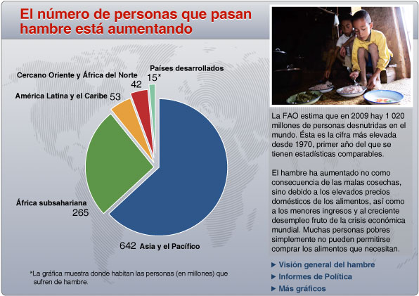 Cada día mueren unas 24.000 personas por causas relacionadas con el hambre