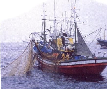 Rechazo a propuesta de Subpesca de “perpetuar” cuotas a industriales