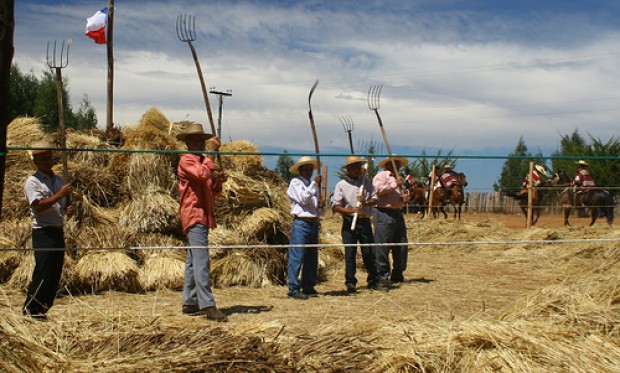 Día del Campesino: Mala cosecha de derechos laborales en el campo