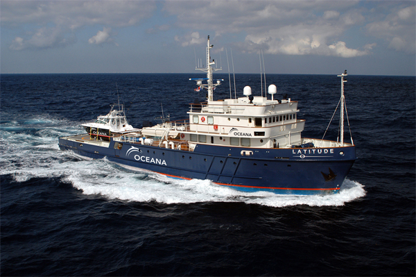Oceana navegará hacia el Golfo de México para evaluar daños ecológicos del derrame de petróleo