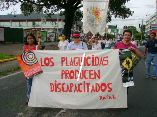 Informe llama la atención sobre los perjuicios causados por pesticidas