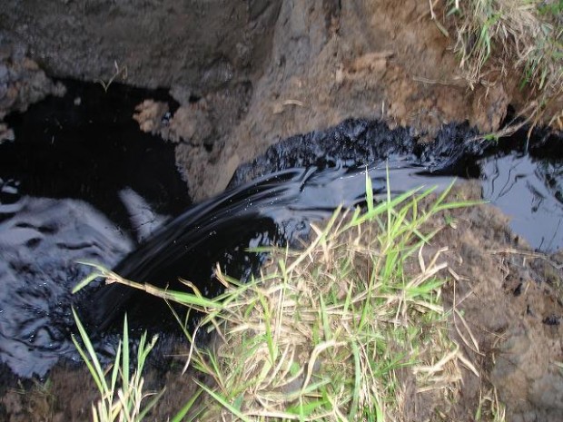 Estudio comprueba gravedad del derrame de petróleo en amazonía peruana