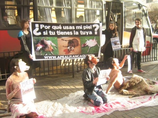 Jóvenes se manifestaron contra el uso de pieles en Rancagua