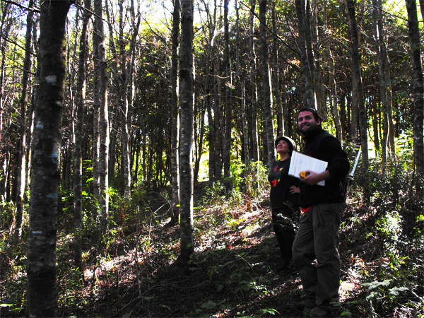 AIFBN lanza sitio Web de revista «Bosque Nativo»