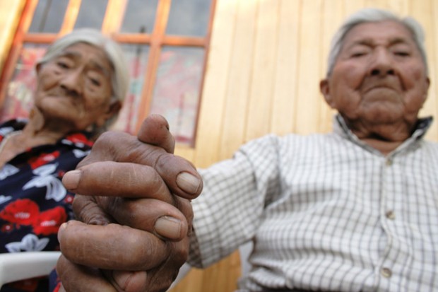 Científicos de la U. de Chile se preparan para «tsunami de envejecimiento» con serie de políticas públicas