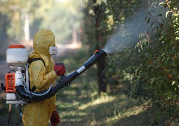 Vecinos de Longaví sufren por agroquímicos