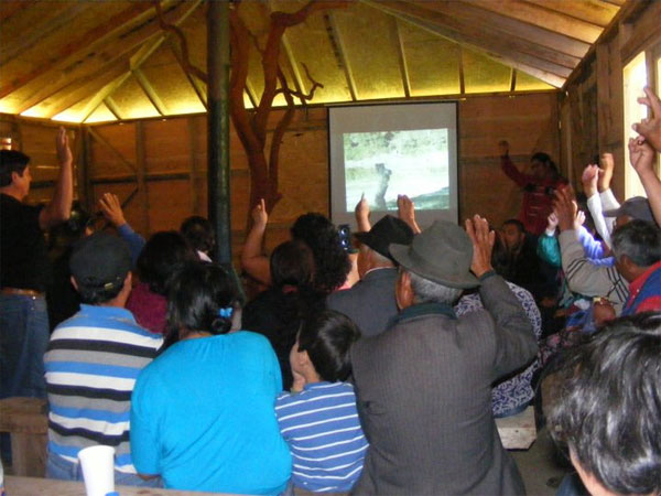 La resistencia continúa en Lago Neltume:  Se exhibió documental Lago Neltume Kume Mogñen Tain Mapu Mew