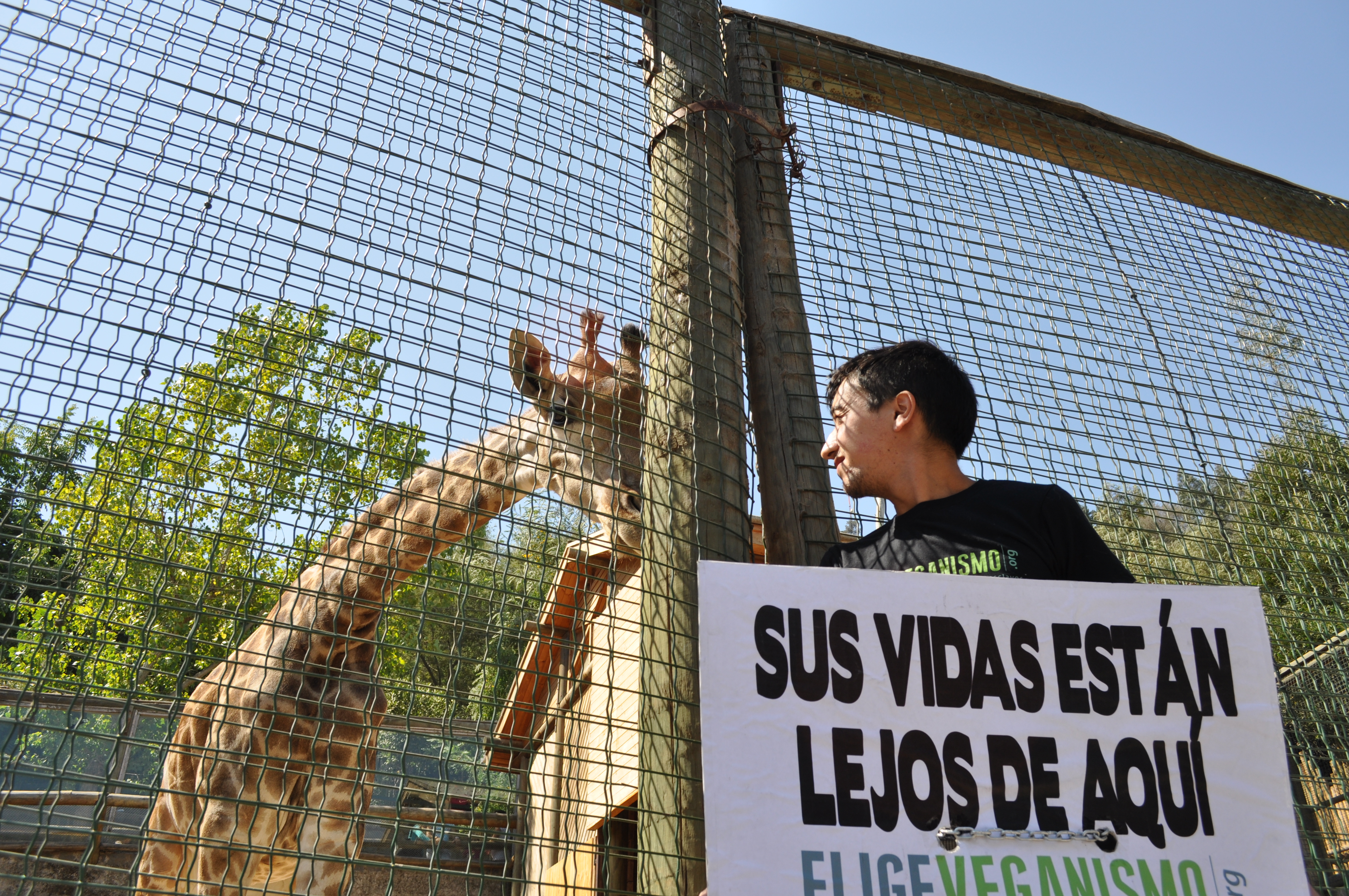 Animalistas se encadenan en el Zoológico Metropolitano