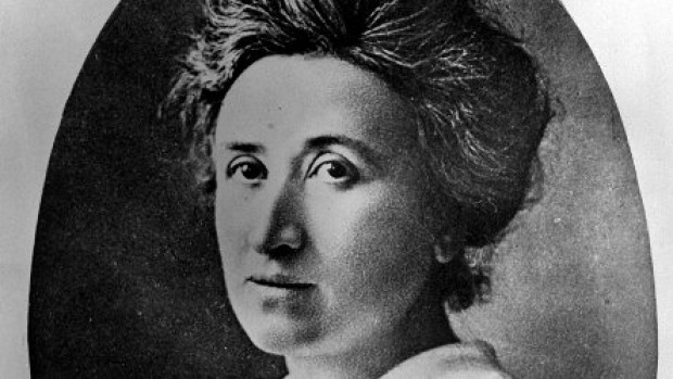 Rosa Luxemburgo renace como la cigarra