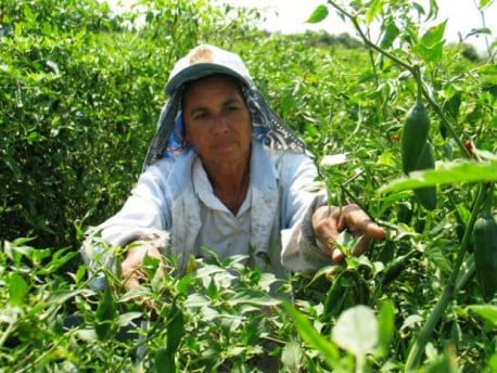 Alivio para el mundo rural: Gobierno anuncia plan de condonación de intereses y renegociación de deuda para Agricultura Familiar
