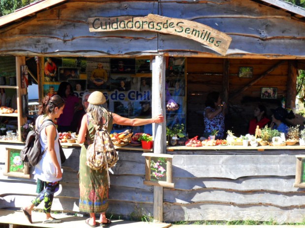 Hasta este domingo 20 continúa en Castro la 10ª Feria de la Biodiversidad de Chiloé