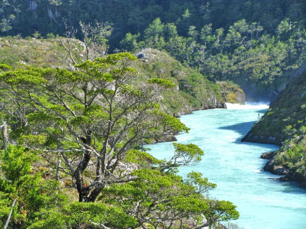 El negocio del medio ambiente y el miedo ambiente