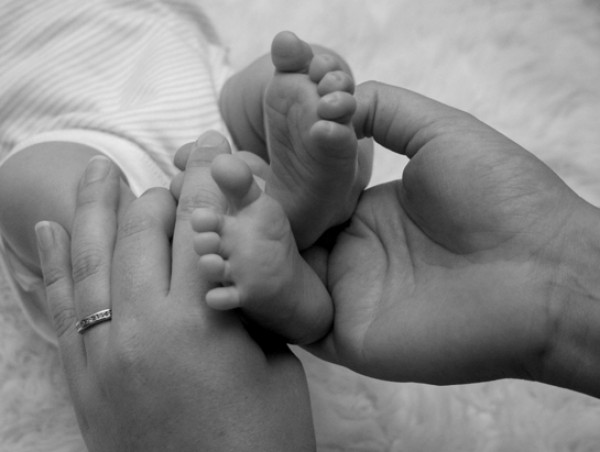 Gobierno prepara anuncio sobre postnatal en las próximas horas