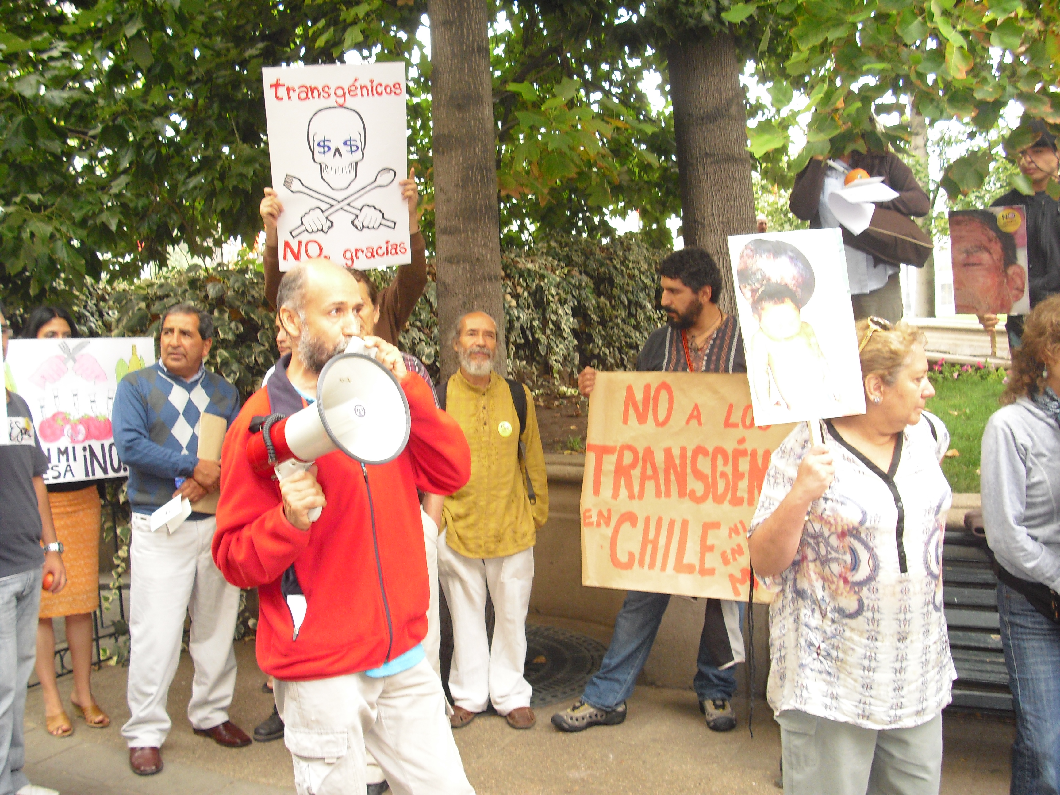 Opositores a los alimentos modificados genéticamente se manifestaron hoy frente a La Moneda
