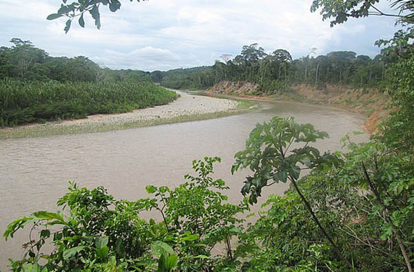 Bolivia transforma parque en la Amazonía en zona petrolera