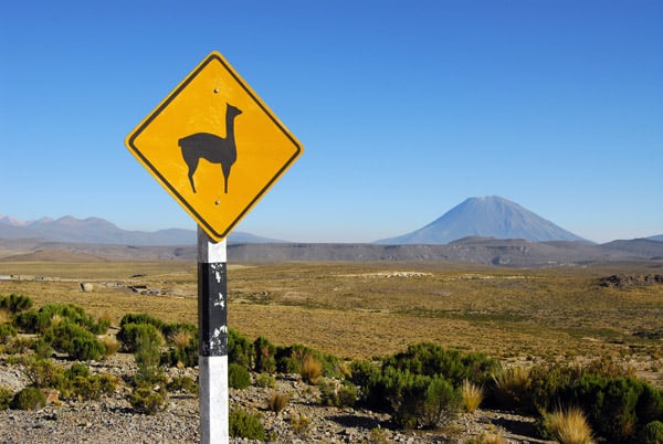 Proyecto minero Catanave amenaza bofedales de áreas protegidas