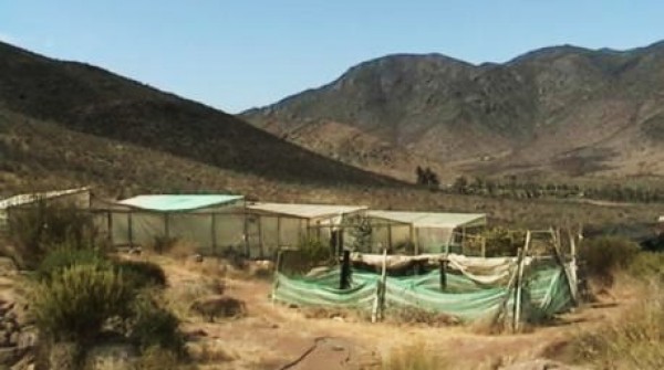 Nueva Planta de tratamiento minero moviliza a El Manzano en Andacollo