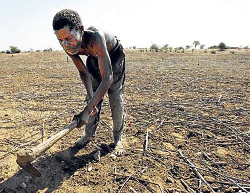 Malaui: Un país africano dependiente de Monsanto