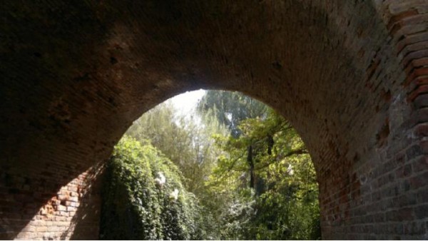 Patrimonio: Descubren semidestruido puente colonial sobre el Canal San Carlos