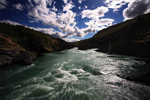 Movilizaciones en la Patagonia en el Día Mundial del Medio Ambiente