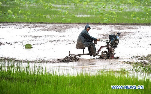 Cambio climático pasa la cuenta en China: Sequía amenaza a animales acuáticos