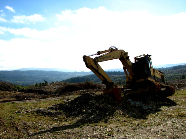 Dossier: El conflicto de la industria forestal en Chile