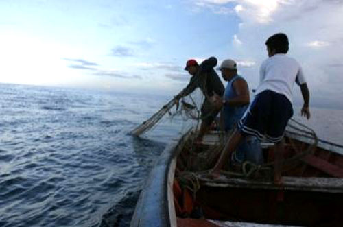 Ley de pesca: el verdadero temor de los trabajadores
