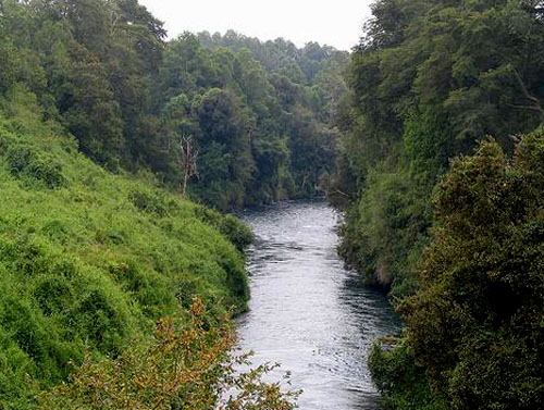 Denuncian a Pilmaiken S.A por iniciativa hidroeléctrica que destruiría el Ngen Kintuante