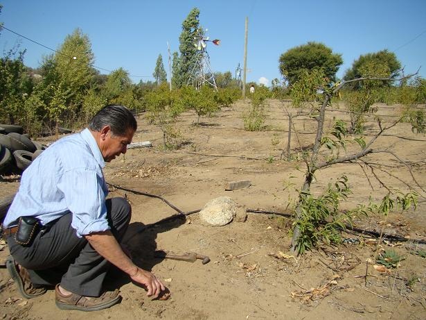 Comunidades agrícolas de Coquimbo pedirán al Congreso «reforma constitucional del agua»