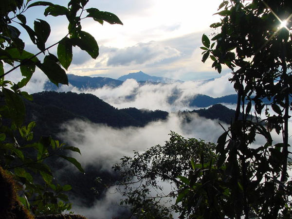 Codelco se apresta a devastar zonas protegidas de Ecuador