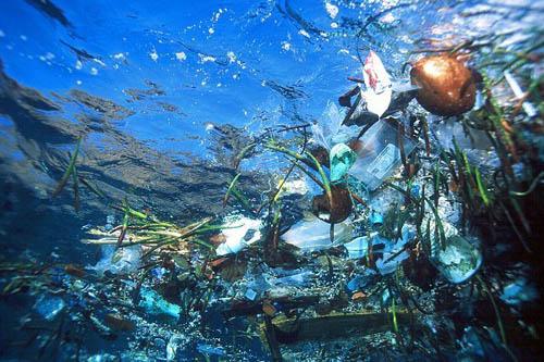 La acidificación oceánica trae tormentas a los países pesqueros