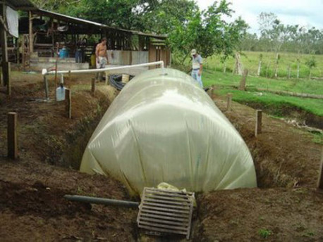 Instalarán un biodigestor para generar abono y biogás con heces de res en Yucatán