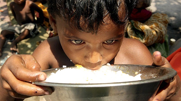 El mundo produce el doble de alimentos que los que sus siete mil millones de habitantes necesitan