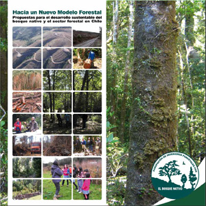 Este lunes lanzan libro con propuestas para un nuevo modelo forestal más sustentable