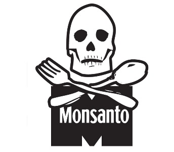 Victoria ciudadana y del Consejo de Transparencia: SAG entregó ubicación de cultivos transgénicos de Monsanto