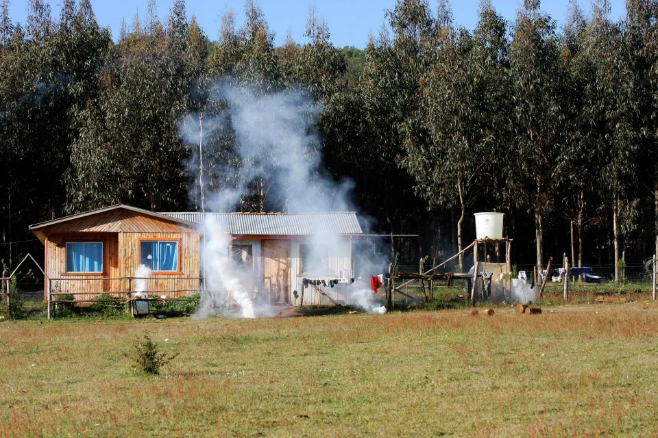 Alerta: aumenta represión del Estado a los Mapuche
