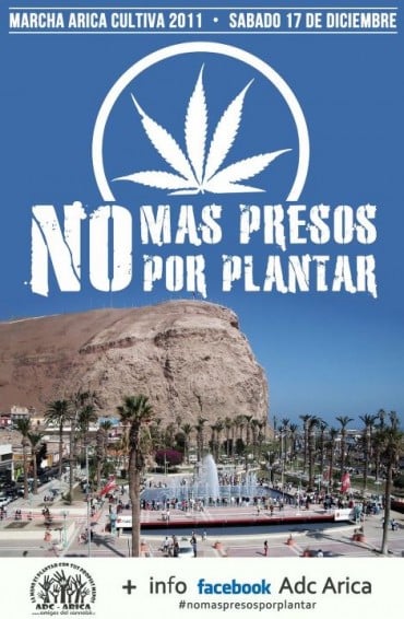 ¡No más presos por plantar! Primera marcha informativa Arica cultiva