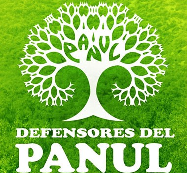 Proyecto inmobiliario amenaza el último bosque nativo de Santiago