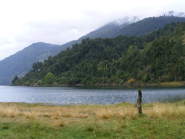 Endesa consolida profanación de espacio ceremonial mapuche en Lago Neltume