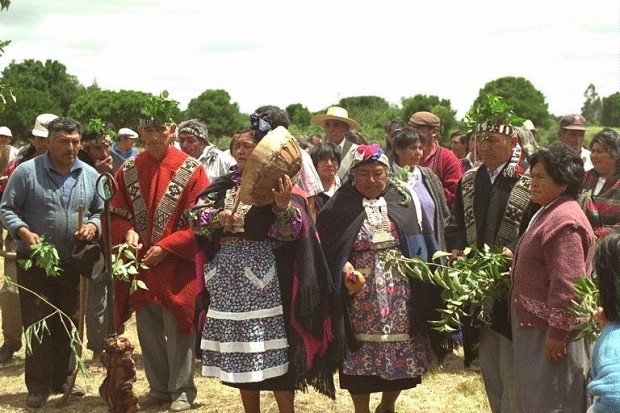 Comunidades mapuche pehuenche se toman Municipalidad de Lonquimay