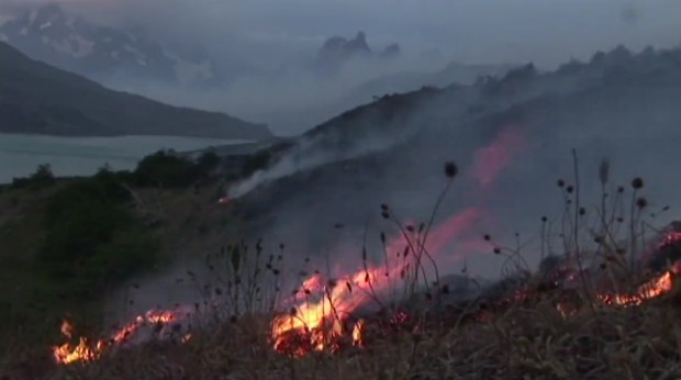 «La última raíz»: Documental sobre el incendio en Torres del Paine