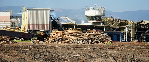 Chile: La caída del imperio forestal