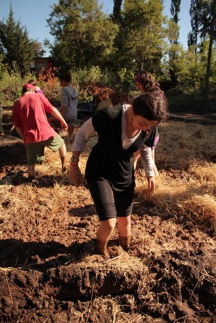 Otoño 2012: Curso y talleres de construcción natural en El Manzano